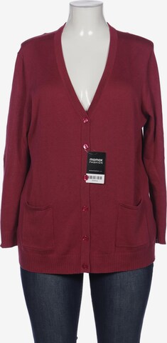 Atelier Goldner Schnitt Sweater & Cardigan in 5XL in Pink: front