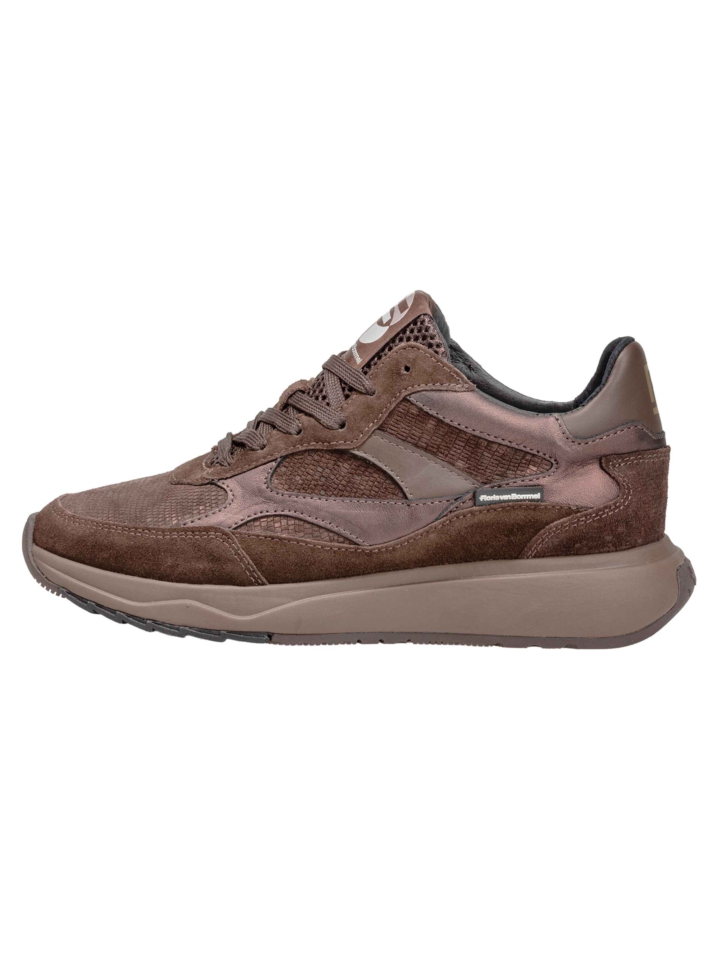 Floris van Bommel Sneaker 'Suvi 05' in Braun: Vorderseite