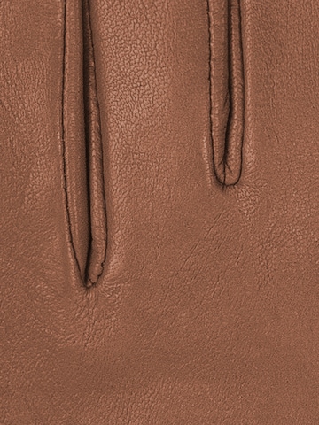 KESSLER Fingerhandschuhe‌‌‌‌ in Braun
