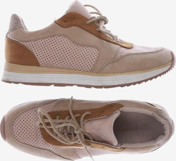 Promod Sneakers & Trainers in 38 in Beige: front