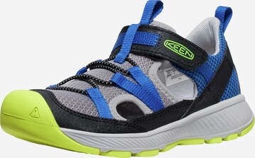 KEEN Open schoenen in Blauw: voorkant