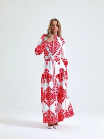 MSN Collection Dress in Red: front