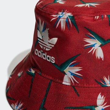 ADIDAS ORIGINALS Καπέλο 'Thebe Magugu' σε κόκκινο