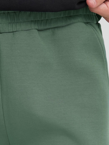 regular Pantaloni ' SDRoland ' di !Solid in verde