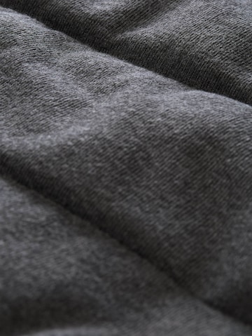 TOM TAILOR DENIM Winterjacke in Grau