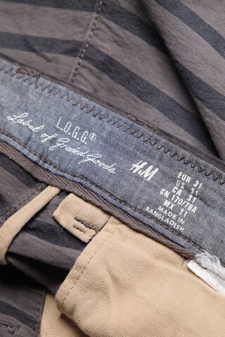 H&M Shorts 31 in Grau