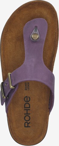 ROHDE T-Bar Sandals in Purple