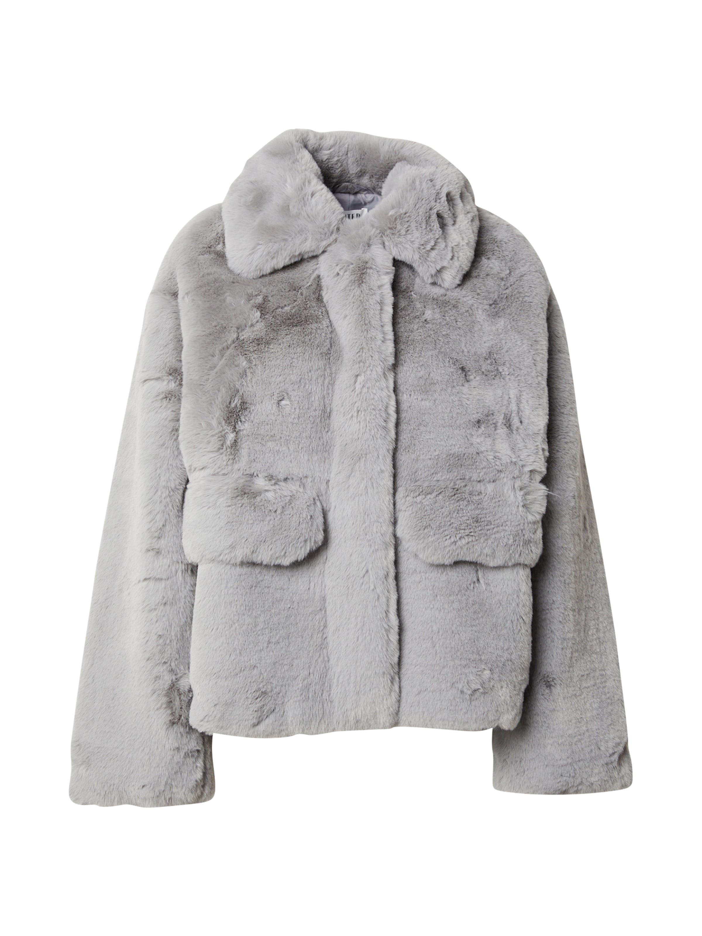 Veste d’hiver 'Carly' EDITED en argent : devant