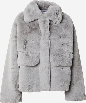 sidabrinė EDITED Žieminė striukė 'Carly': priekis