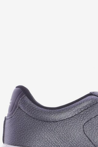 LACOSTE Sneakers & Trainers in 39 in Grey