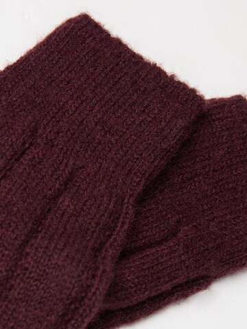 CALZEDONIA Socken in Rot