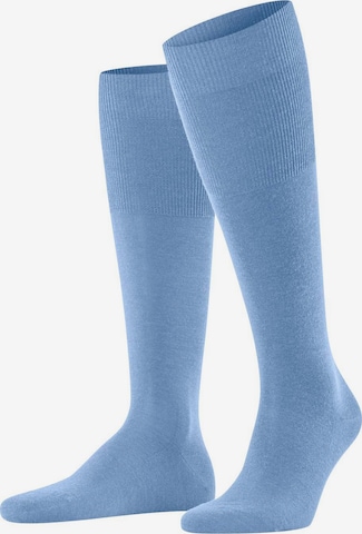 FALKE Socken in Blau: predná strana