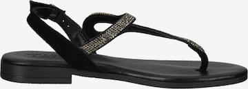 IGI&CO T-Bar Sandals in Black