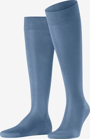 FALKE Knee High Socks 'Tiago' in Blue: front