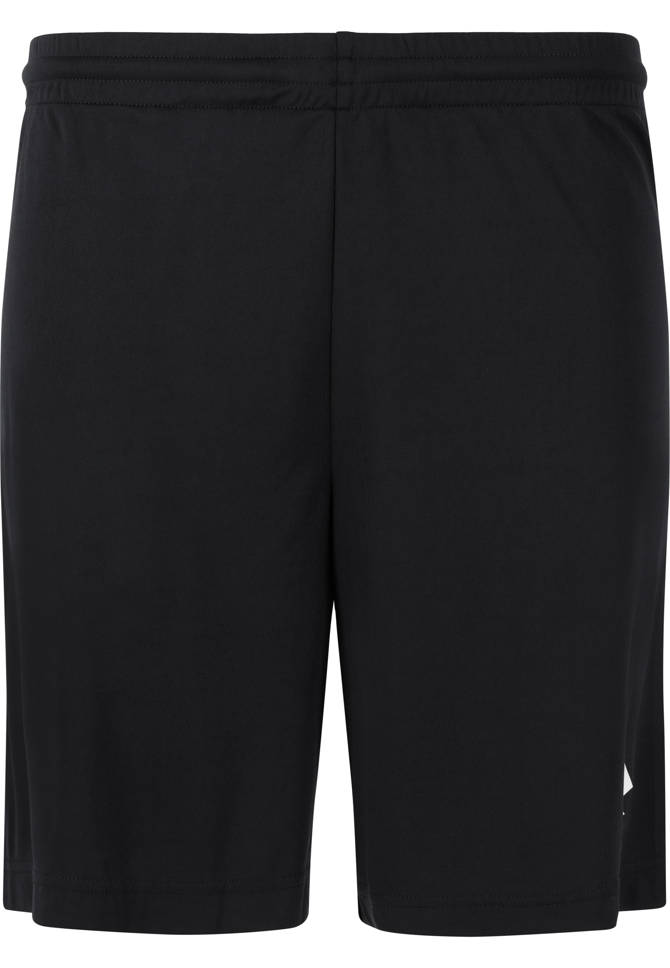 LOTTO Regular Workout Pants 'Elite' in Black: front
