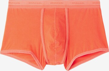 INTIMISSIMI Boxer shorts in Orange: front