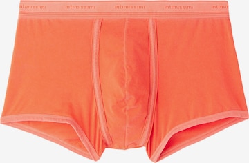 INTIMISSIMI Boxer shorts in Orange: front