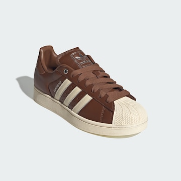 Baskets basses 'Superstar II' ADIDAS ORIGINALS en marron