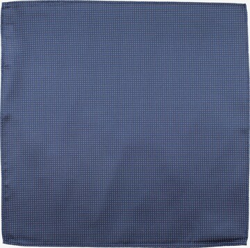 ROY ROBSON Doek in Blauw: voorkant