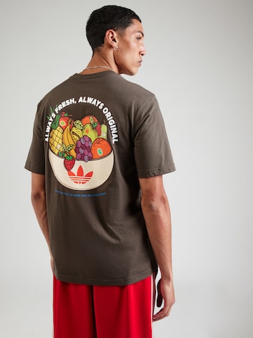 ADIDAS ORIGINALS Футболка в Коричневый: спереди