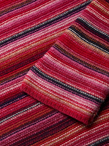 Seasalt Cornwall Trui 'Fruity' in Rood