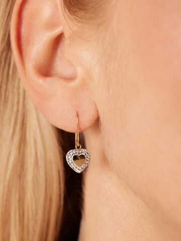 Boucles d'oreilles Lucardi en or : devant