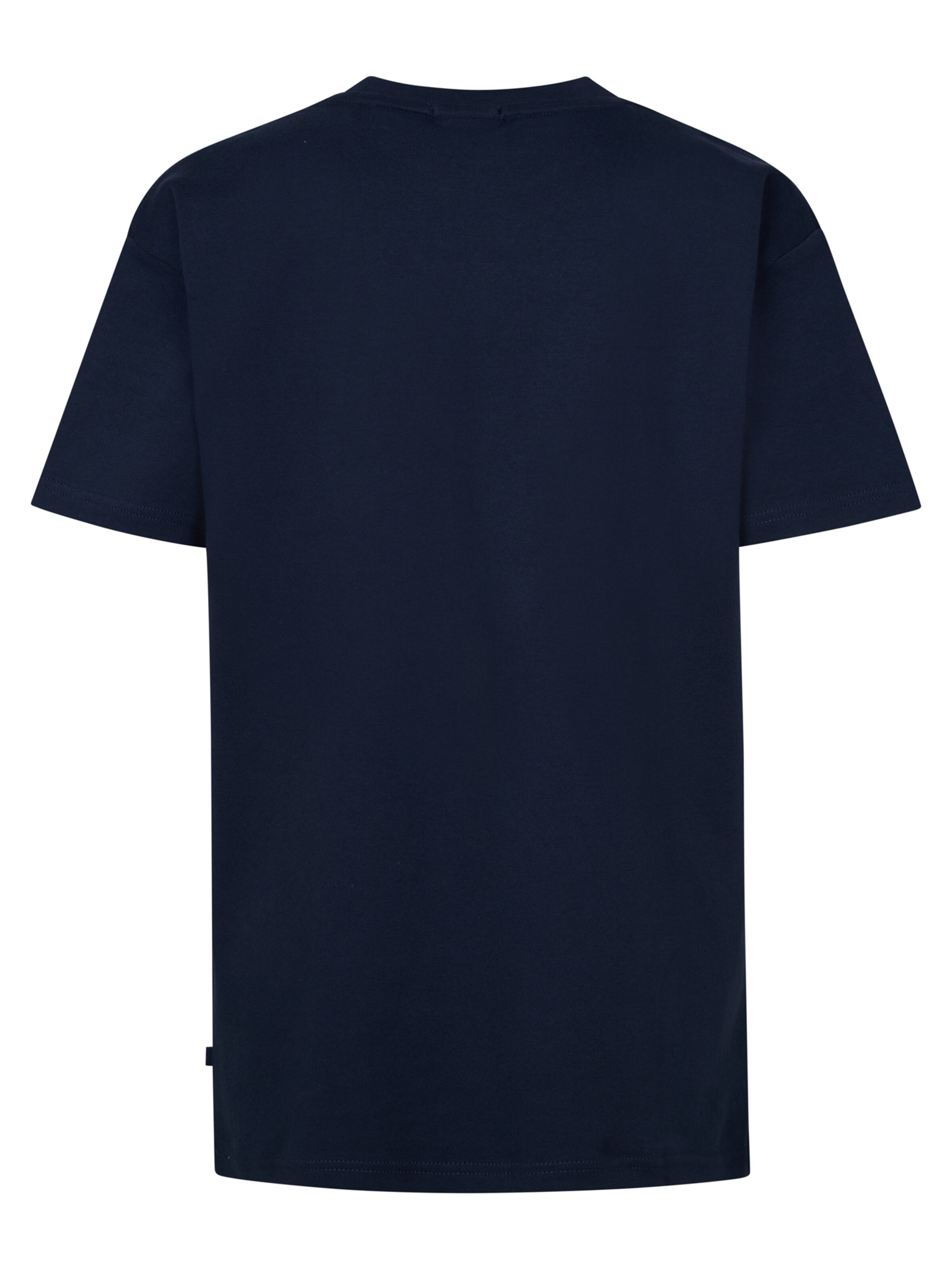 Petrol Industries Shirt 'Narrows' in Blauw