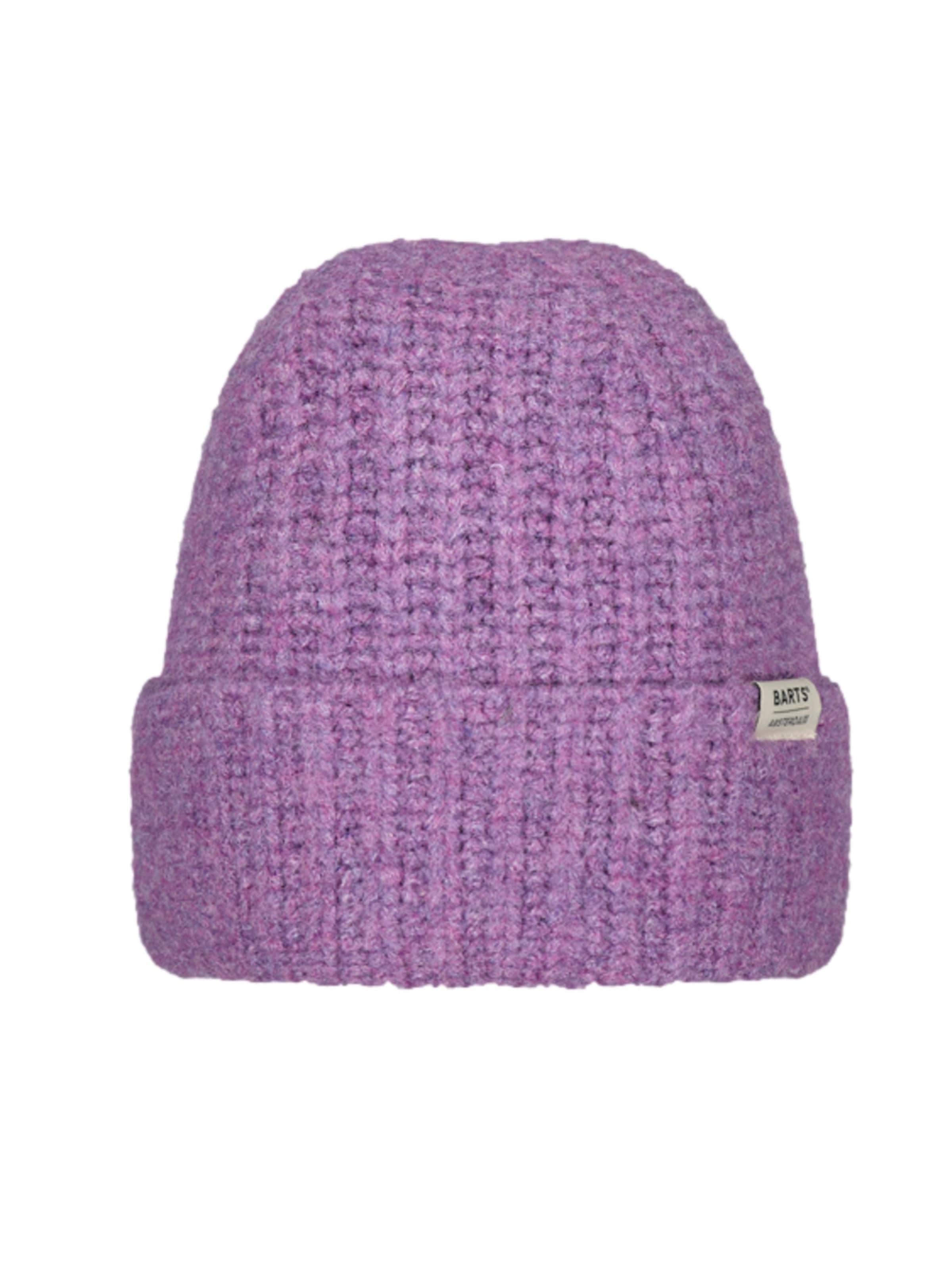 Barts Beanie 'Neide' in Purple: front