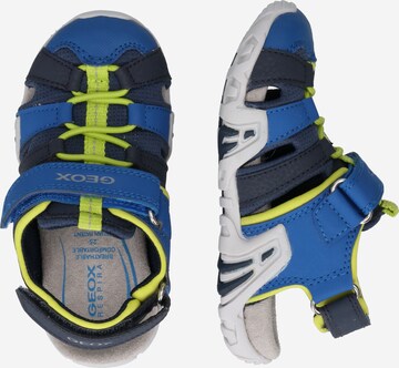 Chaussures ouvertes 'BOREALIS' GEOX en bleu