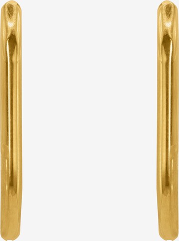 Heideman Earrings 'Maxima ' in Gold