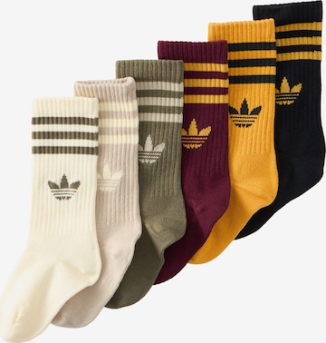 ADIDAS ORIGINALS - Meias em bege: frente
