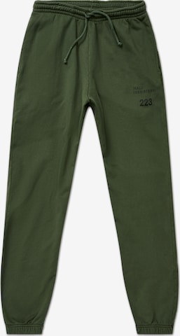 HALO Tapered Hose in Grün: predná strana