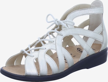 Ganter Strap Sandals 'Sonnica' in Grey: front