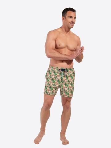 HOM Badeshorts ' Beach Boxer Taormina ' in Grün