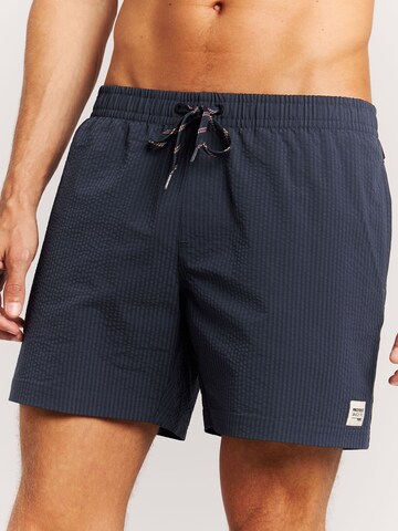 PROTEST Board Shorts 'PRTAgden' in Blue