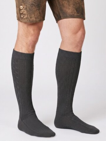 celodoro Knee High Socks 'Tradition' in Grey: front