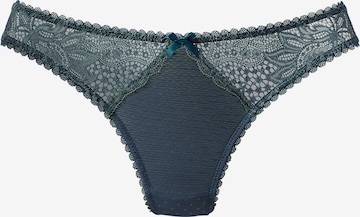 VIVANCE Thong in Grey: front