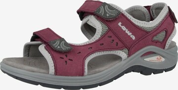 LOWA Hiking Sandals in Purple: front