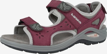 Sandales de randonnée LOWA en violet : devant