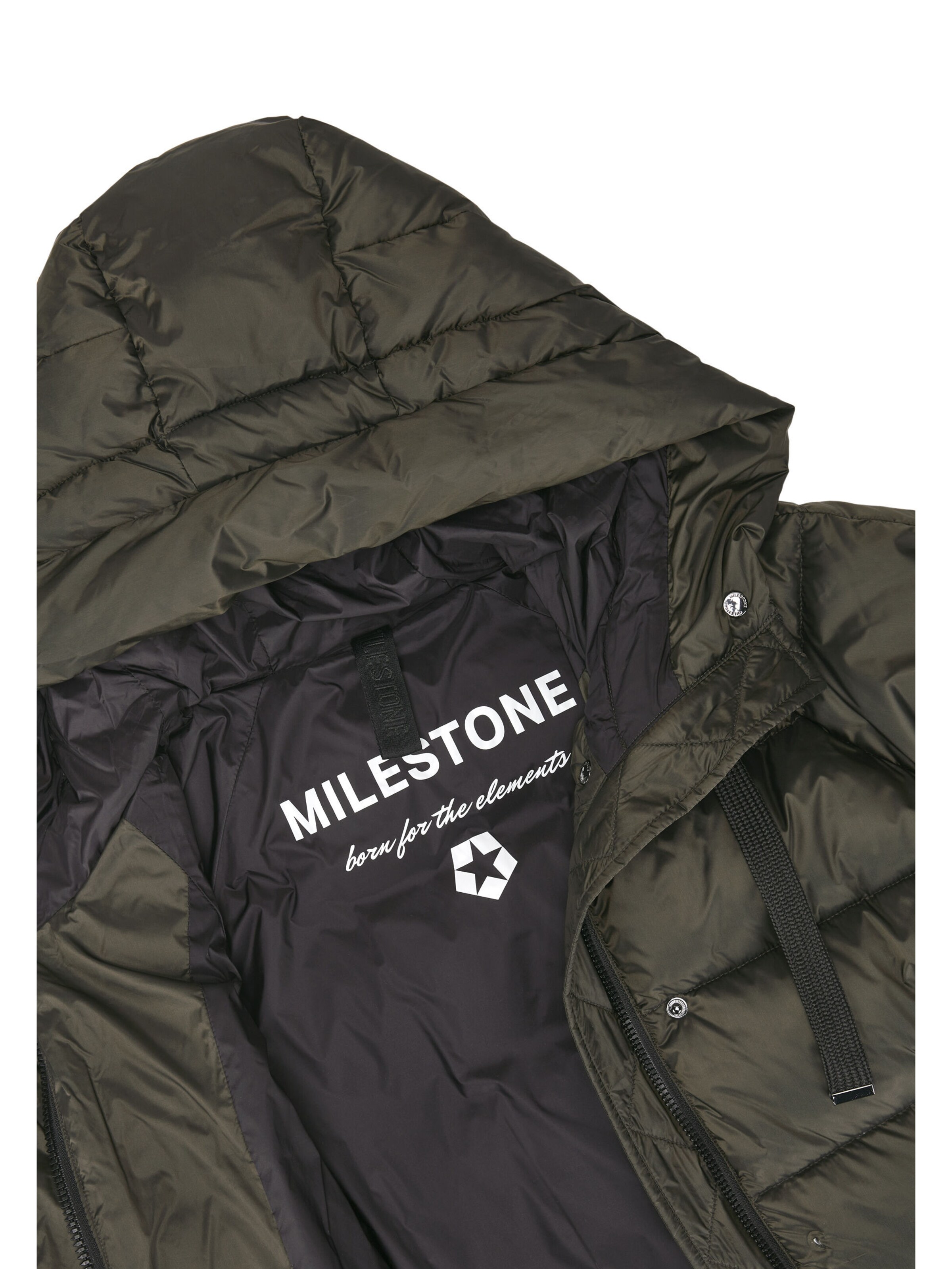 MILESTONE Winterjas 'MSUmeko' in Groen