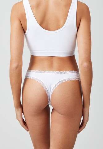 SNOCKS - Tanga en blanco