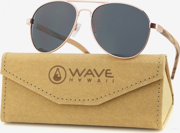 Wave Hawaii Sunglasses ' Trucka ' in Beige: front