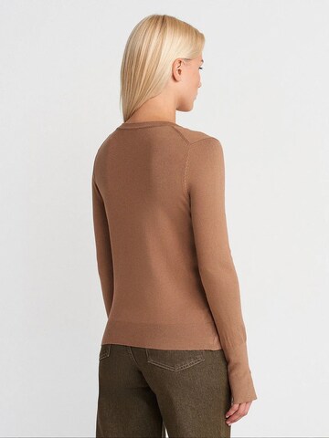 Pullover 'Pullover' di Dilvin in marrone