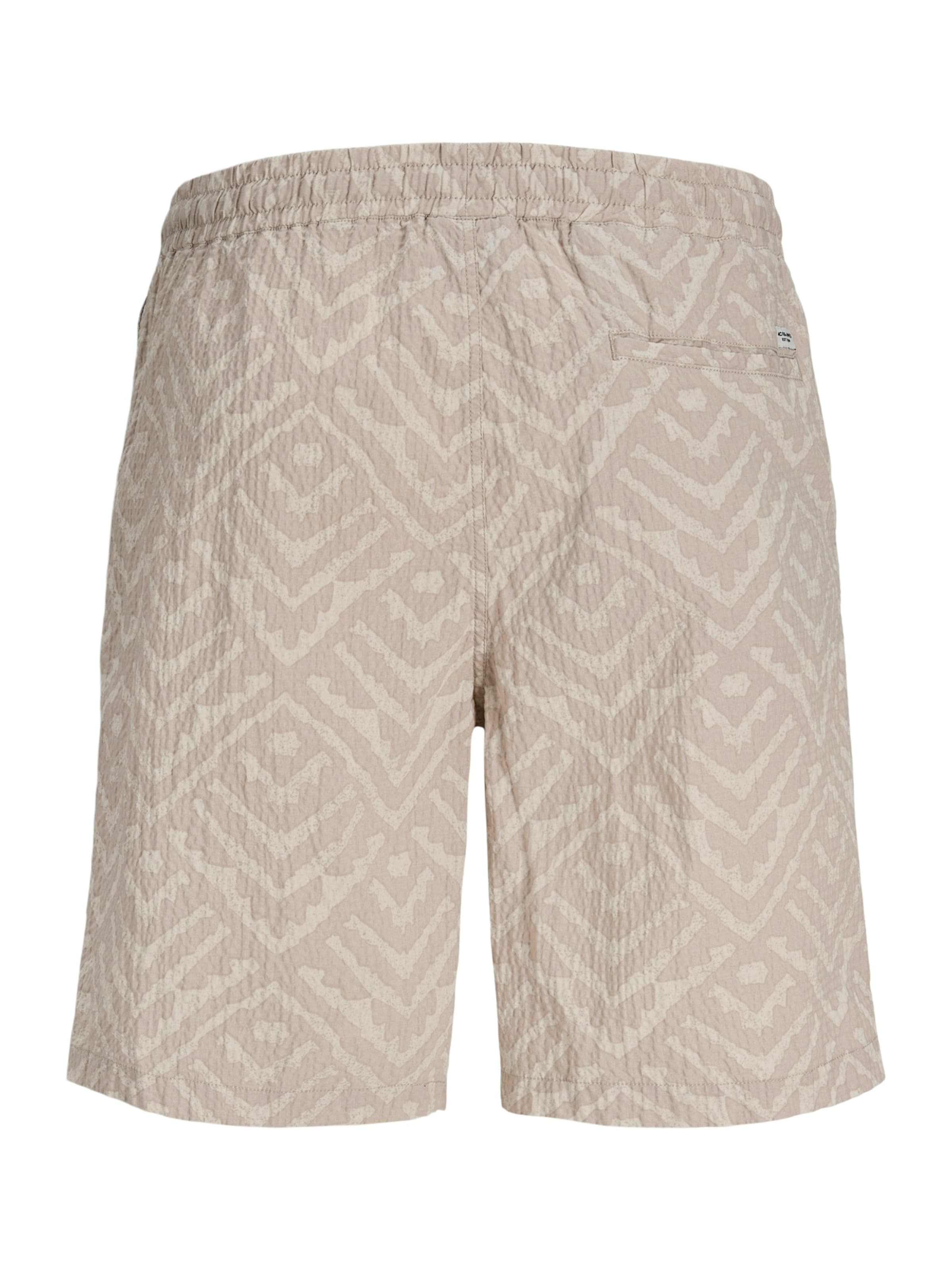 Loosefit Pantaloni 'JPSTJAIDEN MILO' di JACK & JONES in beige