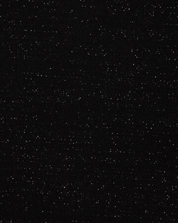 WE Fashion T-shirt i svart