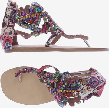 Jeffrey Campbell Sandals & High-Heeled Sandals in 38 in Mixed colors: front