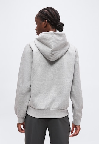 THE NORTH FACE Μπλούζα φούτερ 'EVOLUTION SIMPLE DOME' σε γκρι