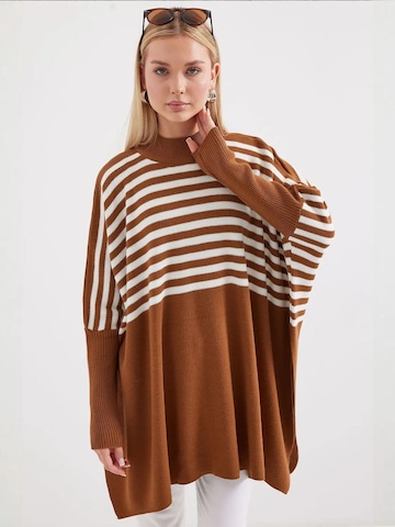 Bigdart Trui in Bruin: voorkant