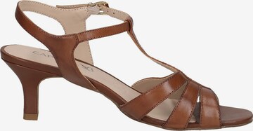 CAPRICE Sandalen met riem in Bruin