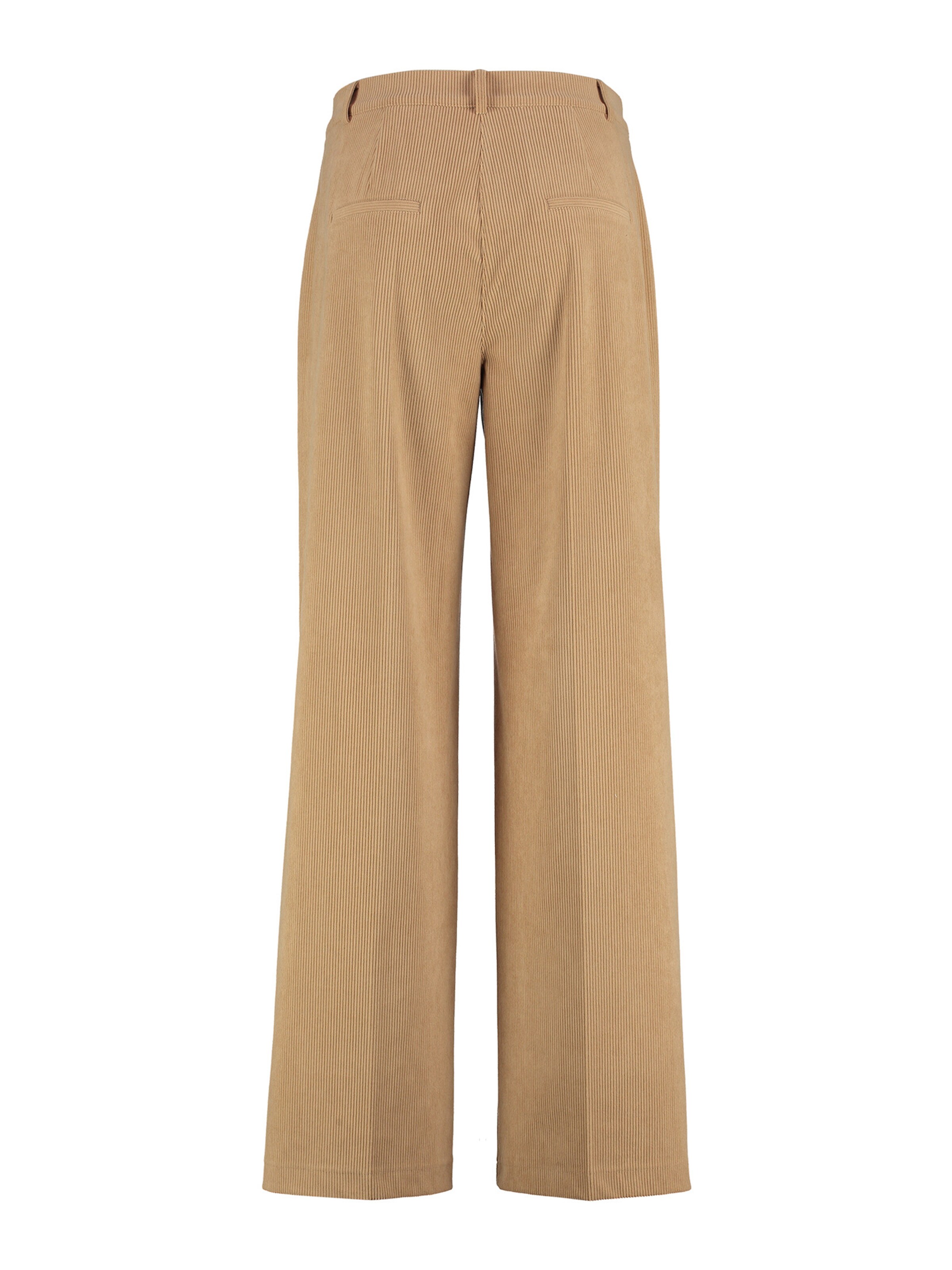 TAIFUN Свободный крой Плиссированные брюки в Бежевый
